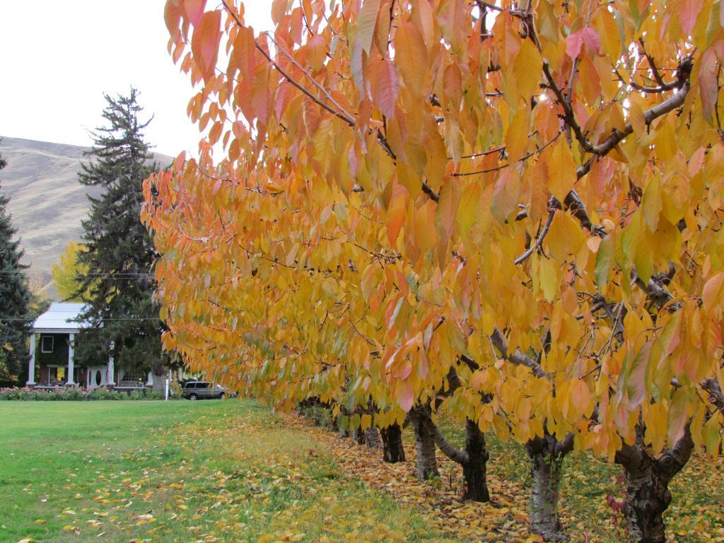 Warm Springs Inn & Winery Sunnyslope 외부 사진